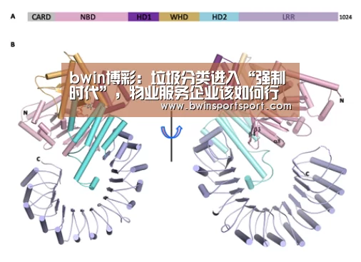 bwin博彩