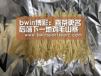 bwin博彩:喜茶更名后落下一地鸡毛山寨皇茶生存堪忧(图2) bwin博彩