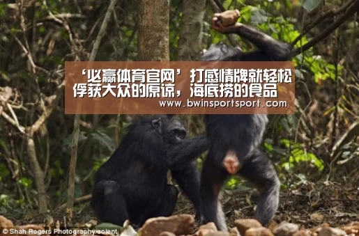 ‘必赢体育官网’打感情牌就轻松俘获大众的原谅,海底捞的食品安全意识呢?(图3) bwin博彩