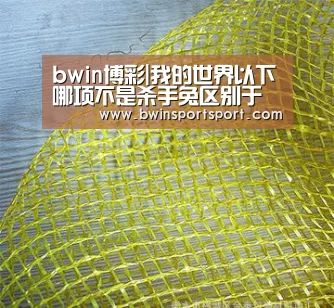 bwin博彩|我的世界以下哪项不是杀手兔区别于普通兔子的地方?(图3) bwin博彩