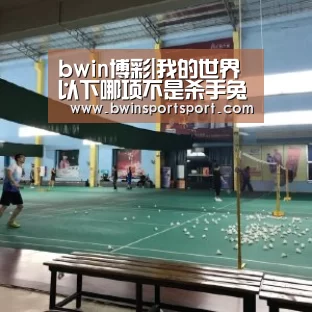 bwin博彩|我的世界以下哪项不是杀手兔区别于普通兔子的地方?(图4) bwin博彩直播