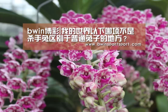 bwin博彩|我的世界以下哪项不是杀手兔区别于普通兔子的地方?(图1) bwin博彩直播