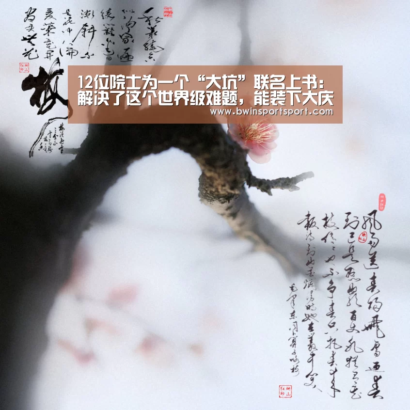 12位院士为一个“大坑”联名上书:解决了这个世界级难题,能装下大庆油田3年的原油产量:必赢体育官网(图3) bwin博彩官网