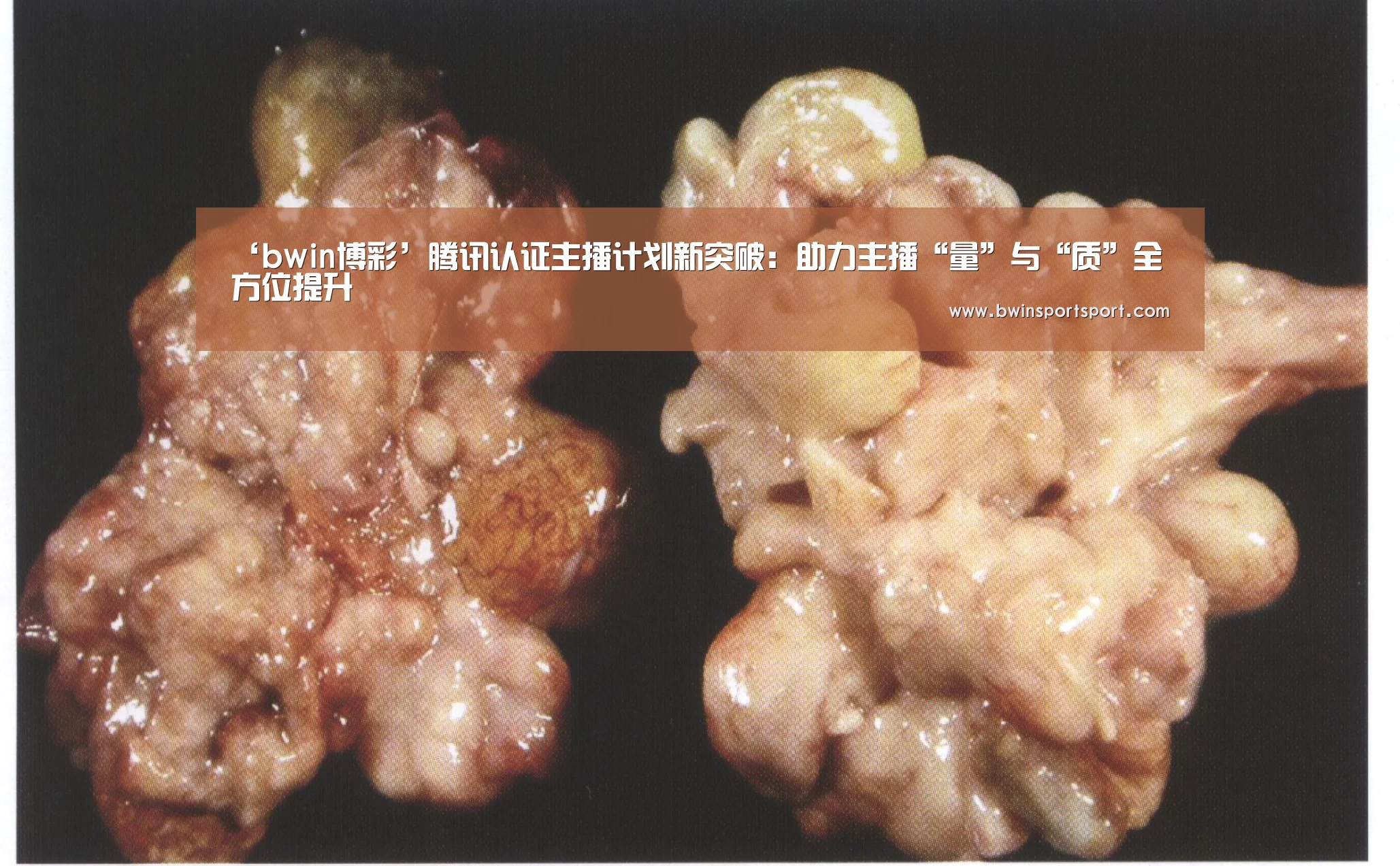 ‘bwin博彩’腾讯认证主播计划新突破:助力主播“量”与“质”全方位提升(图2) 必赢体育官网