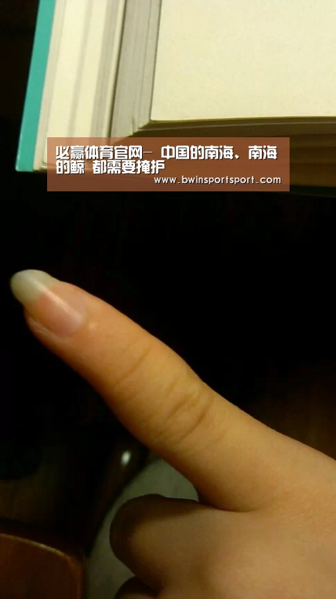 必赢体育官网-
中国的南海、南海的鲸 都需要掩护(图3) bwin博彩直播